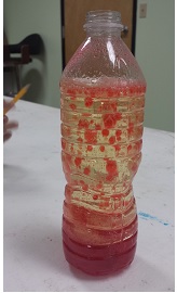 We learned about volcanoes and we made lava lamps.